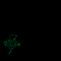 00070_7e543b22.png