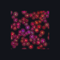 00073_595d26e9.png