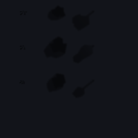 00124_596cc854.png