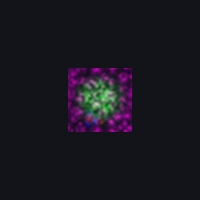 00144_af600f99.png
