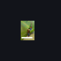 01016_2a693977.png