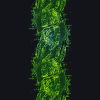 01533_a4770f9d.png