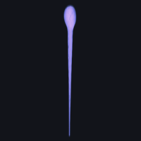 01561_52c7024d.png