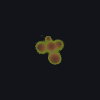 01564_21cdf789.png