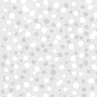04448_3f278e92.png