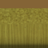 04887_1f8e7e50.png